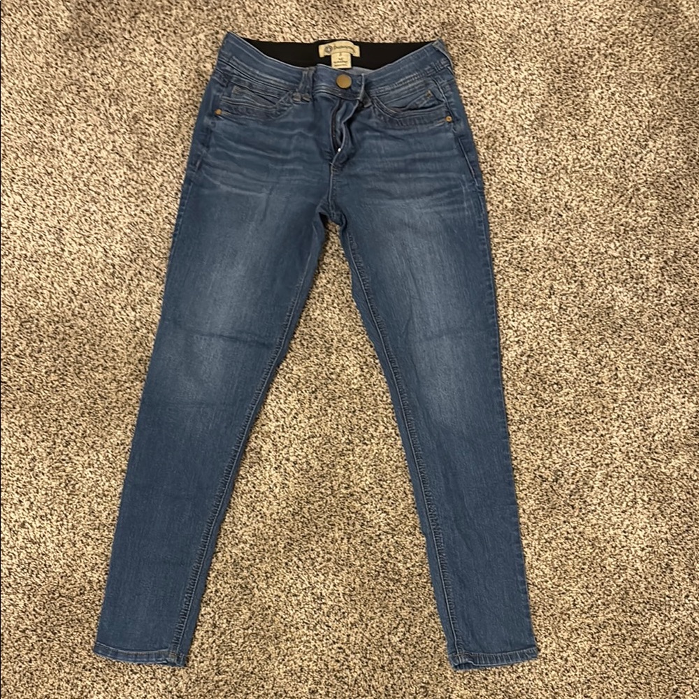 Democracy Blue Skinny Jeans Classic Fit